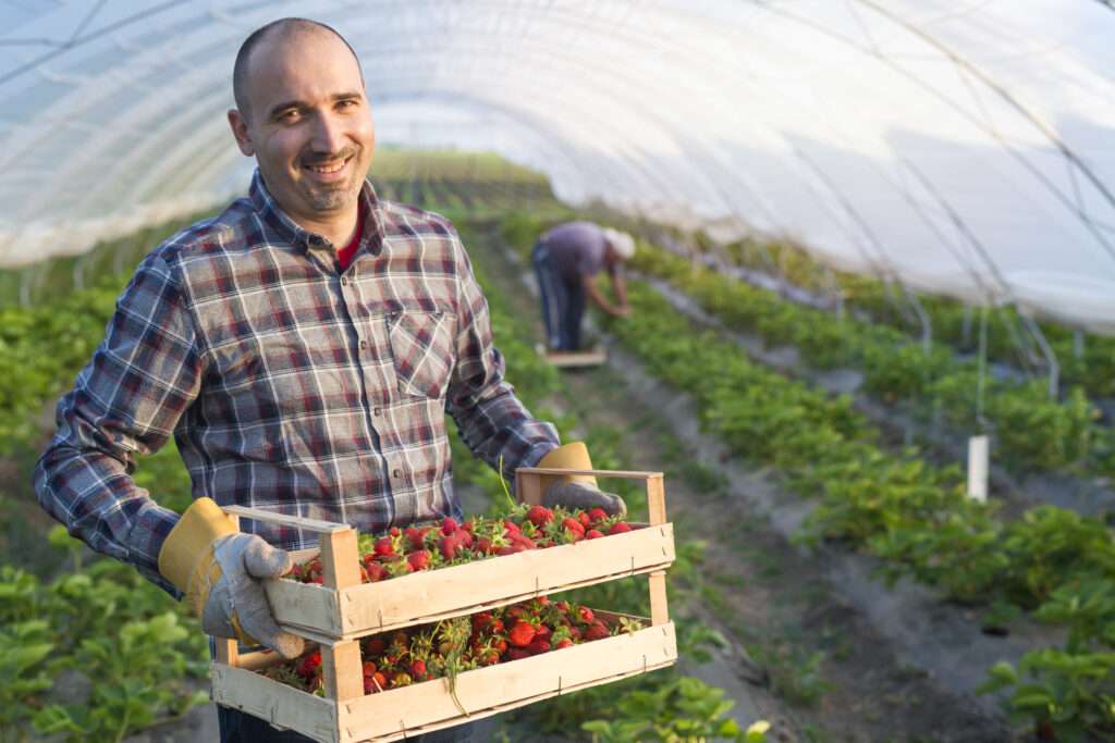 farm worker jobs in canada