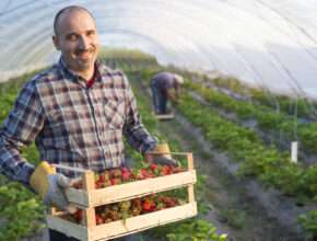 farm worker jobs in canada
