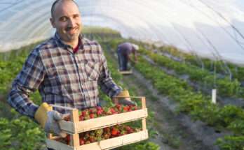 farm worker jobs in canada