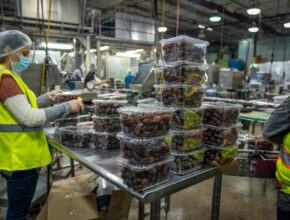 food packing