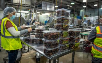 food packing