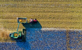 farm worker jobs